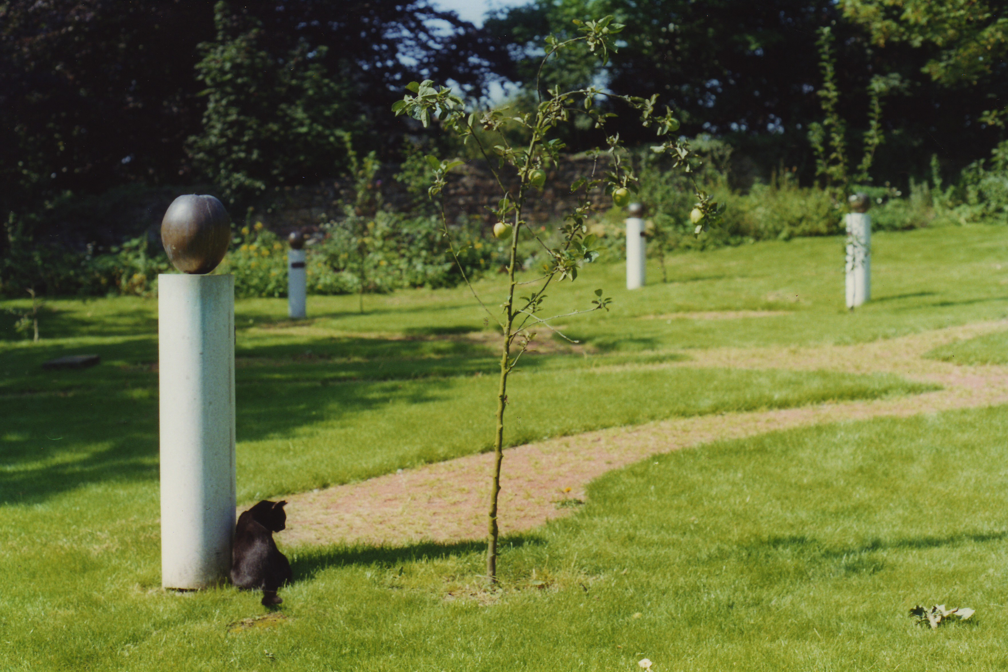 The Tasting Garden cat